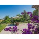 Properties for Sale_FARMHOUSE FOR SALE, AGRITURISTIC ACTIVITY, RECEPTIVE TOURIST STRUCTURE in Petritoli in the Marche region in Italy in Le Marche_30